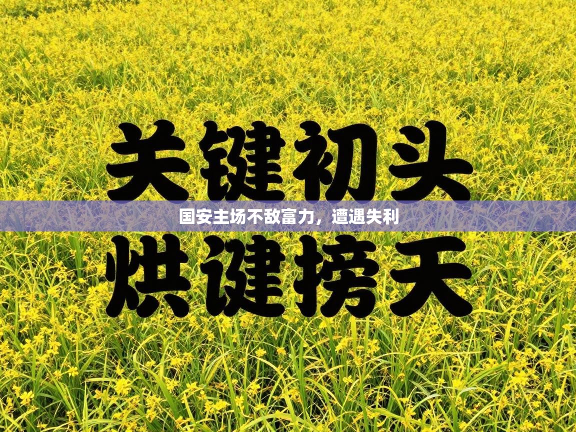 国安主场不敌富力，遭遇失利  第2张